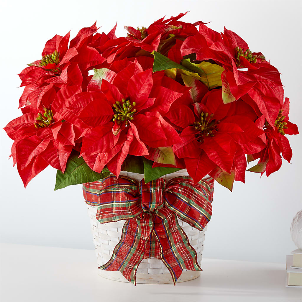 Happiest Holidays Poinsettia – Flowers By Dillenbecks, Johnson City NY