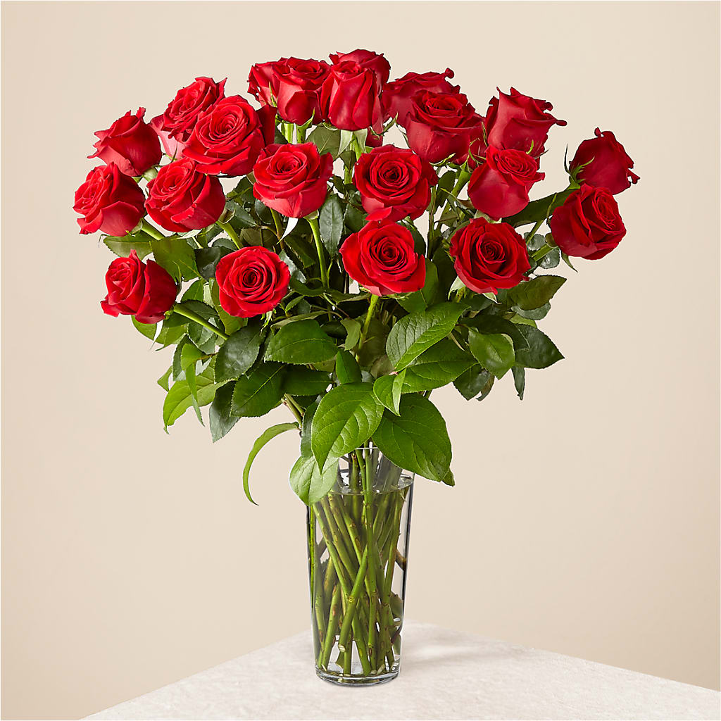Long Stem Red Rose Bouquet – Flowers By Dillenbecks, Johnson City NY