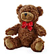 Adorable Plush Bear – Flowers By Dillenbecks, Johnson City NY
