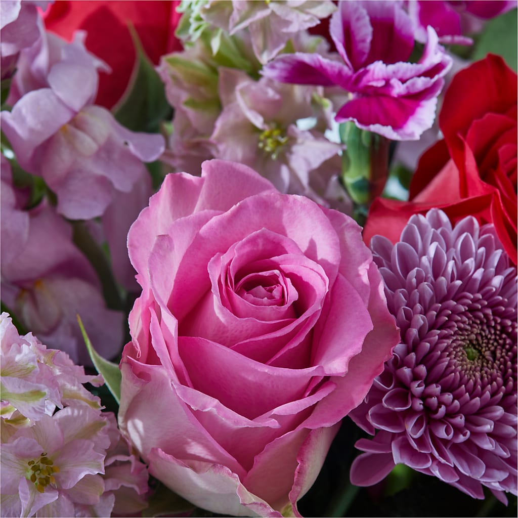 Better Together - A Luxury Florist Original – Flowers By Dillenbecks, Johnson City NY