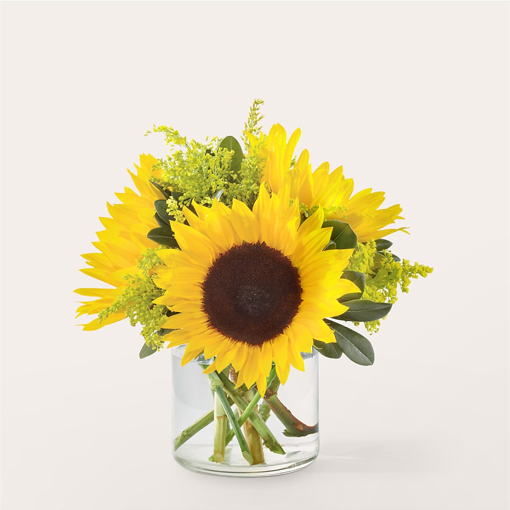 Beaming Sunflower Bouquet – Flowers By Dillenbecks, Johnson City NY