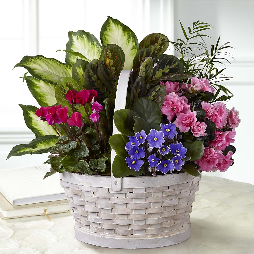 Peaceful Garden Planter – Flowers By Dillenbecks, Johnson City NY
