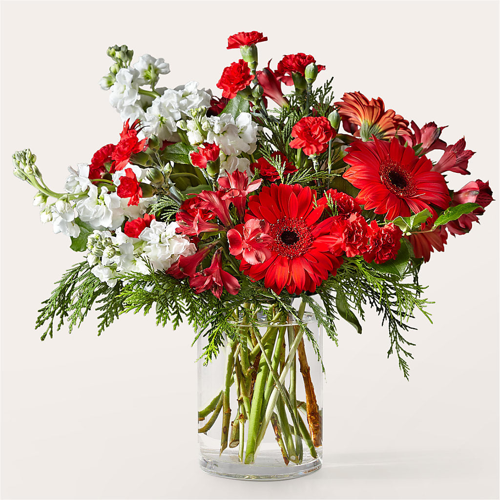 Holidaisy Bouquet – Flowers By Dillenbecks, Johnson City NY