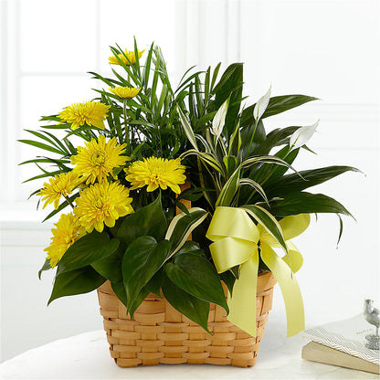 Loving Light Dishgarden –  Flowers By Dillenbecks, Johnson City NY