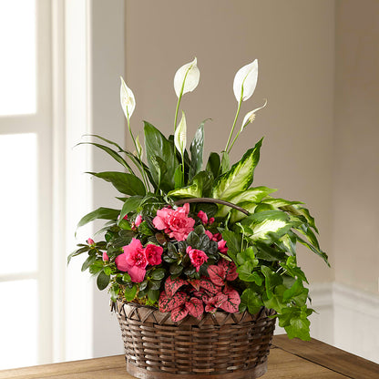 Dream in Pink Dishgarden –  Flowers By Dillenbecks, Johnson City NY