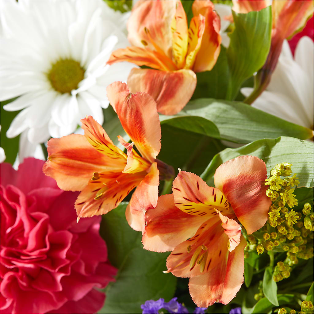Oopsie Daisy Box Bouquet –  Flowers By Dillenbecks, Johnson City NY