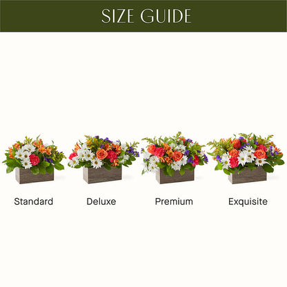Oopsie Daisy Box Bouquet –  Flowers By Dillenbecks, Johnson City NY