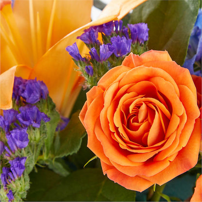 Radiant Citrus Box Bouquet –  Flowers By Dillenbecks, Johnson City NY