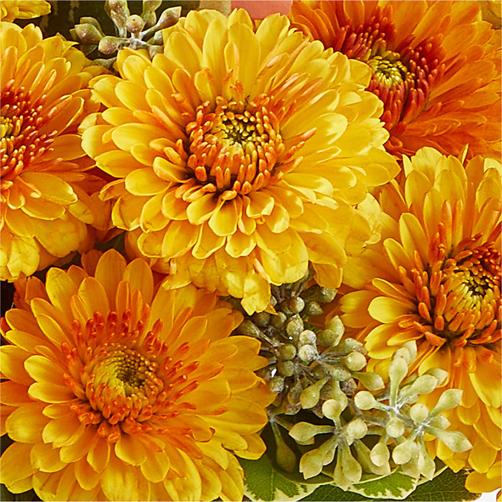 Peachy Pumpkin –  Flowers By Dillenbecks, Johnson City NY