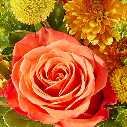 Gourdgeous Pumpkin –  Flowers By Dillenbecks, Johnson City NY