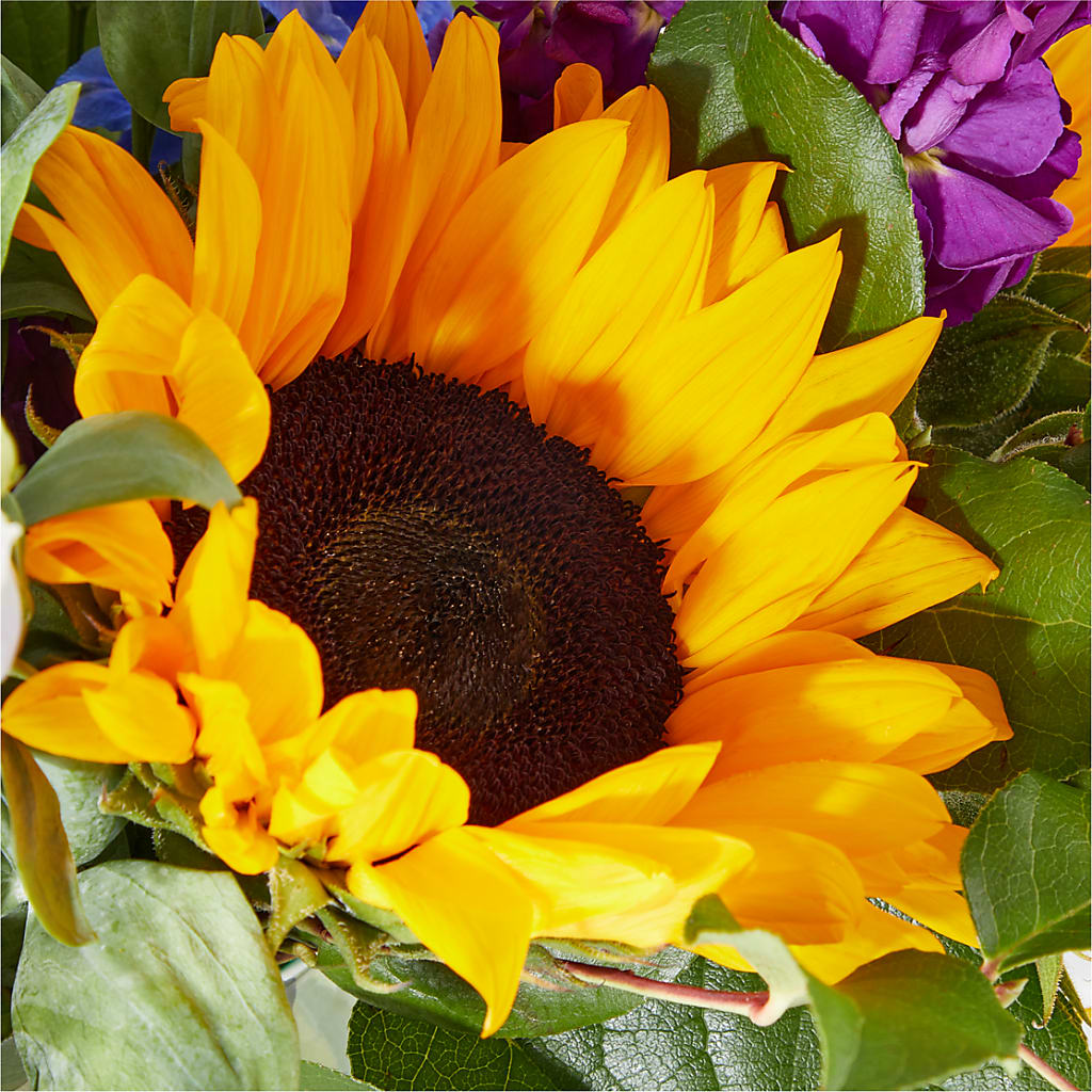 Catching Rays Bouquet –  Flowers By Dillenbecks, Johnson City NY