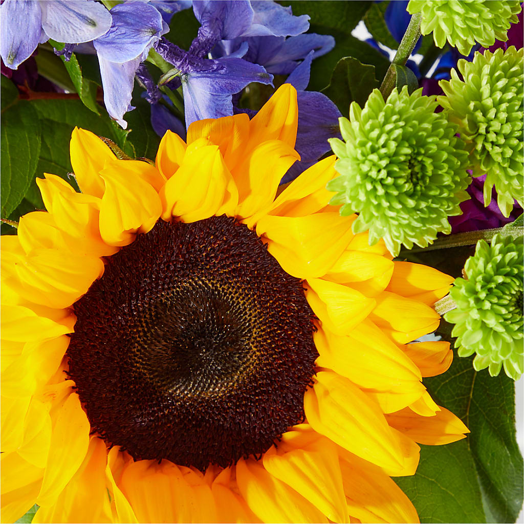 Catching Rays Bouquet –  Flowers By Dillenbecks, Johnson City NY
