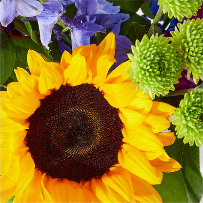 Catching Rays Bouquet –  Flowers By Dillenbecks, Johnson City NY