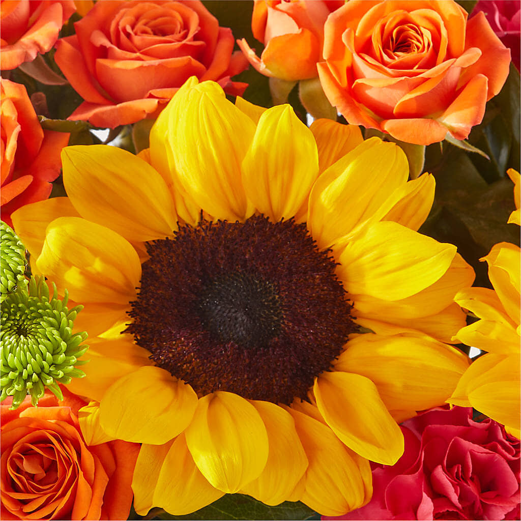 Sun-drenched Blooms Box Bouquet –  Flowers By Dillenbecks, Johnson City NY