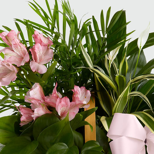 Living Spirit Dishgarden –  Flowers By Dillenbecks, Johnson City NY