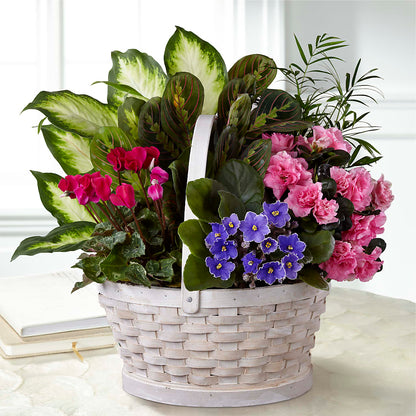 Peaceful Garden Planter –  Flowers By Dillenbecks, Johnson City NY