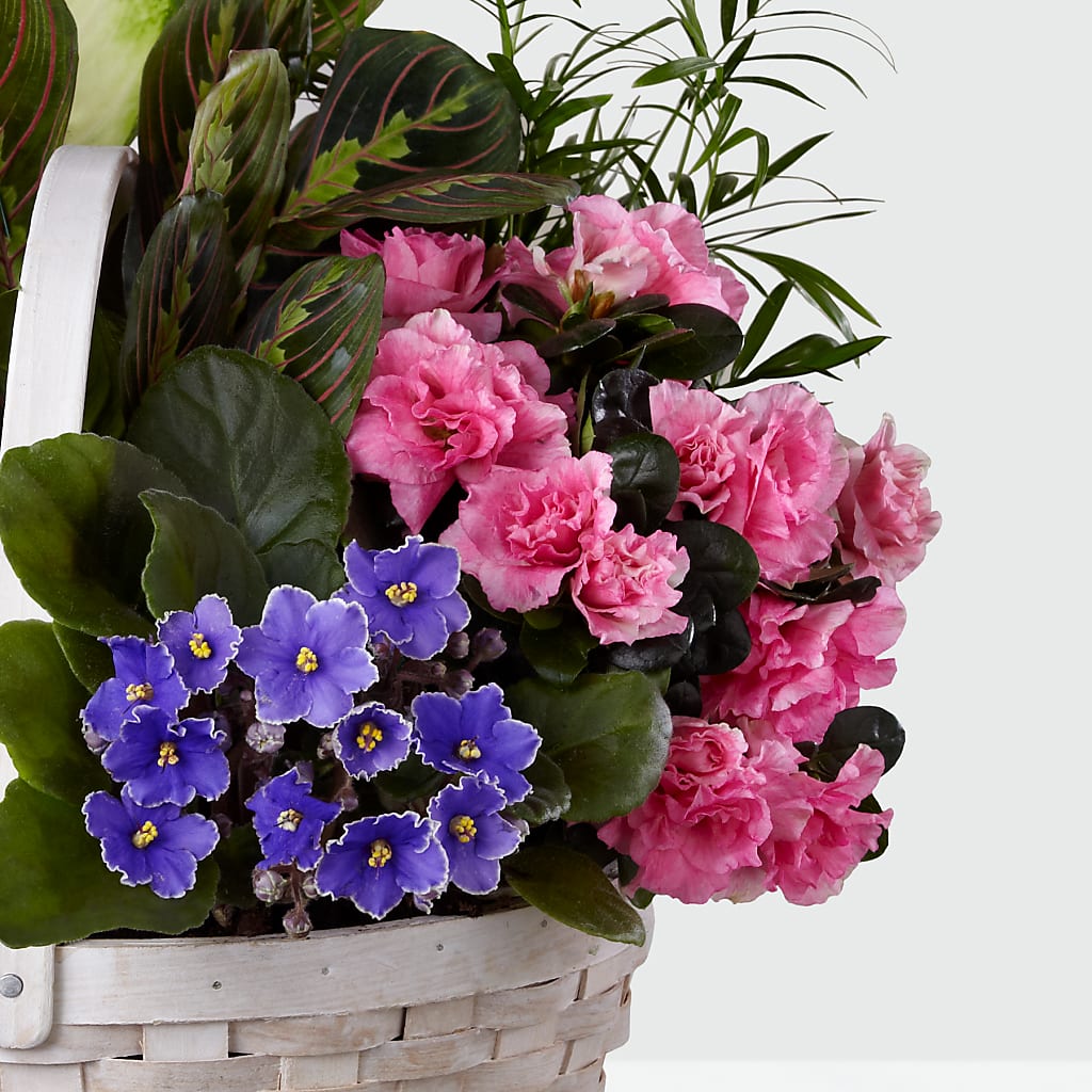 Peaceful Garden Planter –  Flowers By Dillenbecks, Johnson City NY