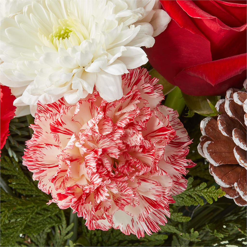 Candy Cane Lane Bouquet –  Flowers By Dillenbecks, Johnson City NY