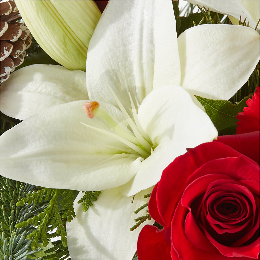 Oh So Jolly Bouquet –  Flowers By Dillenbecks, Johnson City NY