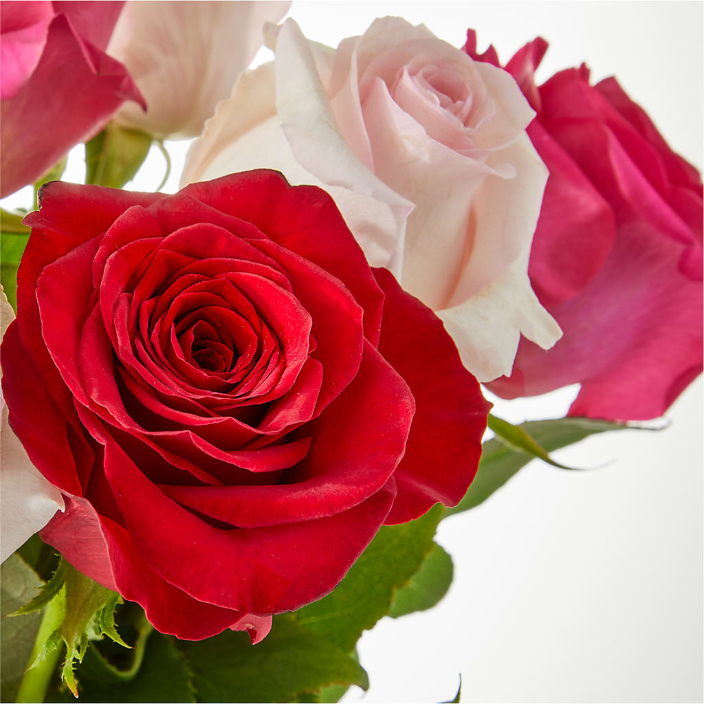 Charming Rose Bouquet –  Flowers By Dillenbecks, Johnson City NY