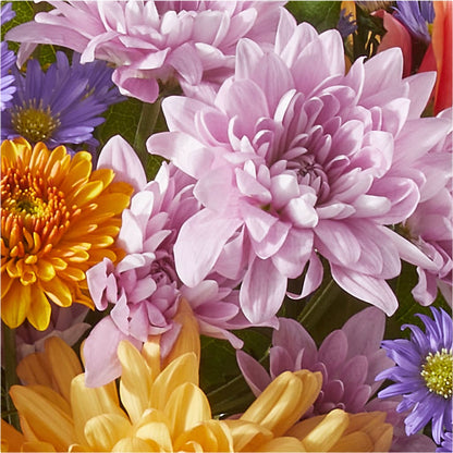 Countryside Bouquet –  Flowers By Dillenbecks, Johnson City NY