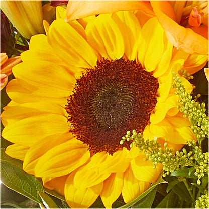 Seasons Change Bouquet –  Flowers By Dillenbecks, Johnson City NY