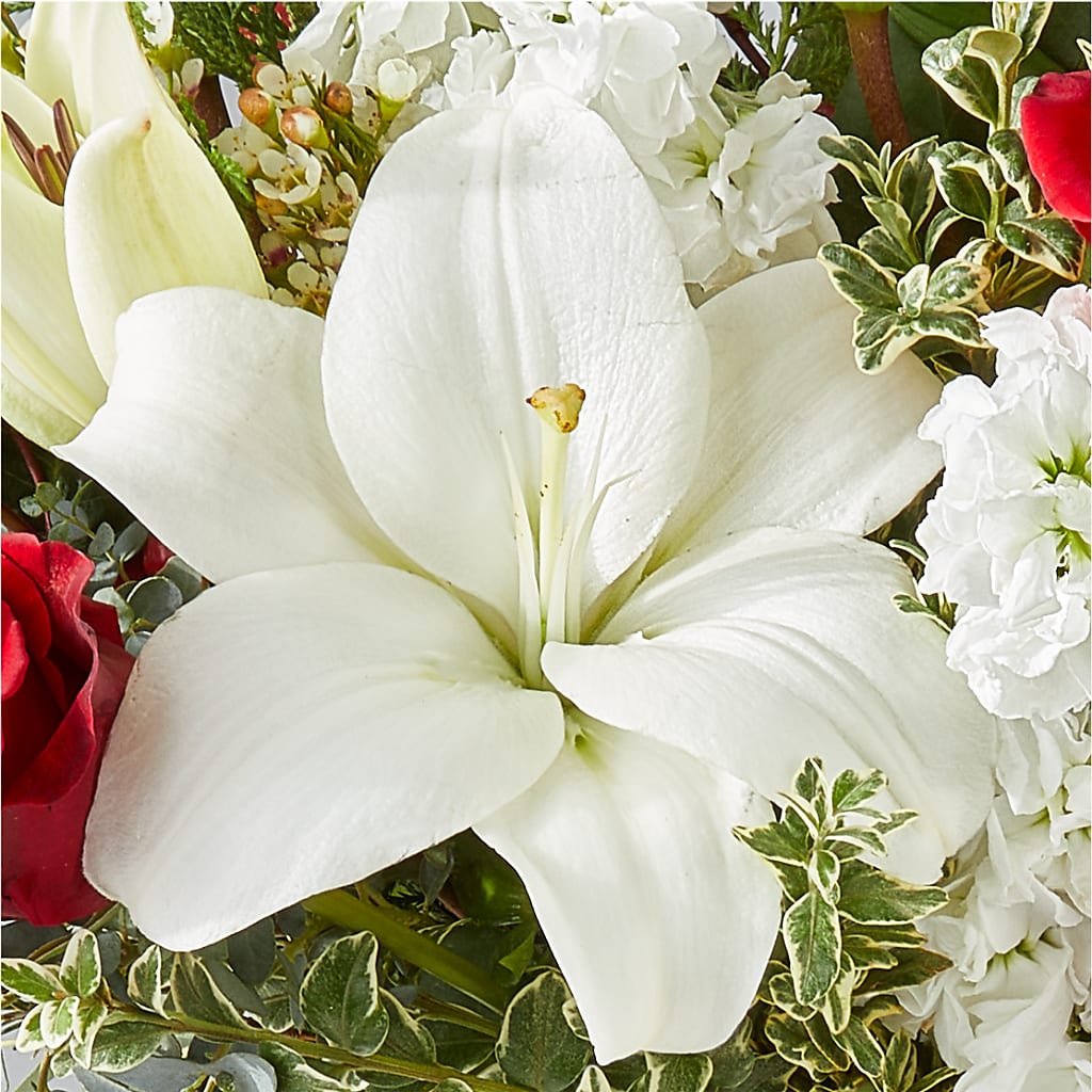 Twinkle Lights Bouquet –  Flowers By Dillenbecks, Johnson City NY