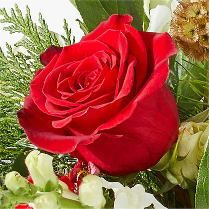 Deck the Halls Bouquet –  Flowers By Dillenbecks, Johnson City NY