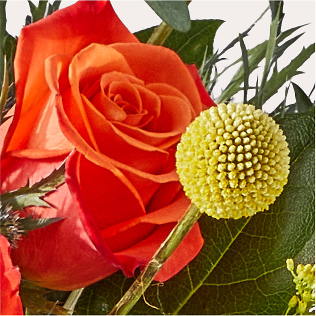 Disco Bouquet –  Flowers By Dillenbecks, Johnson City NY
