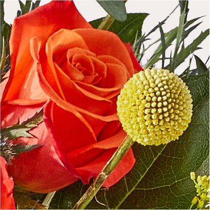 Disco Bouquet –  Flowers By Dillenbecks, Johnson City NY