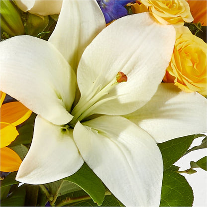 Wonderfully Sunny Bouquet –  Flowers By Dillenbecks, Johnson City NY