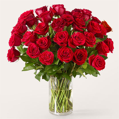 The One Red Rose Bouquet –  Flowers By Dillenbecks, Johnson City NY